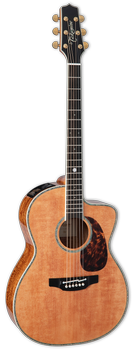 Takamine LTD2022 - gitara elektroakustyczna