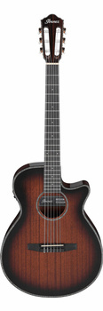 Ibanez AEG74N-MHS - Gitara elektroakustyczna