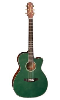 Takamine LTD2025 - gitara elektroakustyczna limitowana wersja