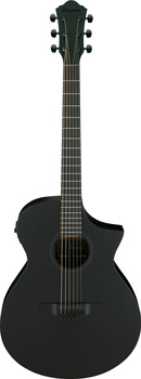 Ibanez AEWC621-BOT - gitara elektroakustyczna