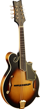 Ortega RMF90TS - mandolina z serii F-Style