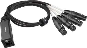 Konwerter adapter DMX żeński na RJ45 żeński Roxtone PS4F