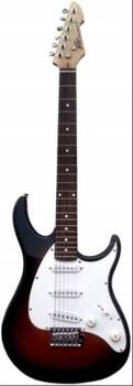 Peavey Raptor Custom SB -gitara elektryczna