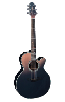 Takamine LTD2024 - Gitara elektroakustyczna Stellar Limited Edition